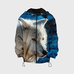 Детская куртка Волк на черном фоне