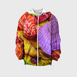 Куртка с капюшоном детская Разноцветные ракушки multicolored seashells, цвет: 3D-белый