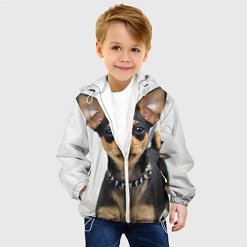 Детская куртка Чихуахуа / 3D-Белый – фото 4