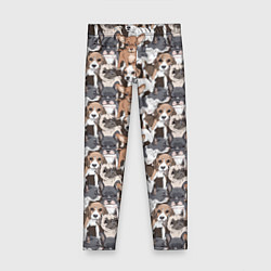 Детские легинсы Щенки Разных Пород