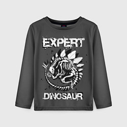 Лонгслив детский Dinosaur expert, цвет: 3D-принт