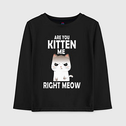 Детский лонгслив Ты издеваешься надо мной? игра слов Are you kitten