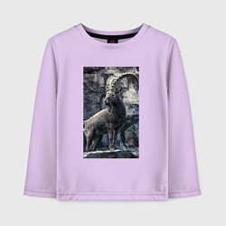 Детский лонгслив Горный козел на фоне скалы