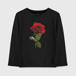 Лонгслив хлопковый детский Красивая красная роза, цвет: черный