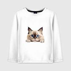 Детский лонгслив Ragdoll cat