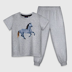 Пижама хлопковая детская Андалузская лошадь, цвет: меланж