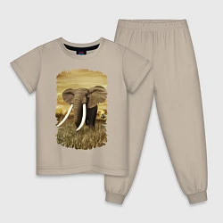 Пижама хлопковая детская Могучий слон, цвет: миндальный