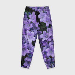 Детские брюки Фиолетовый цвет весны