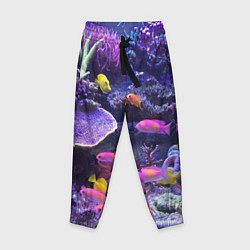 Детские брюки Коралловые рыбки
