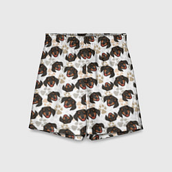 Детские шорты Такса Dachshund Dog