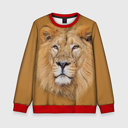 Свитшот детский Царский лев, цвет: 3D-красный