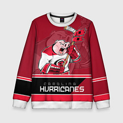 Свитшот детский Carolina Hurricanes, цвет: 3D-белый