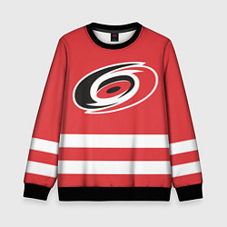 Детский свитшот Carolina Hurricanes