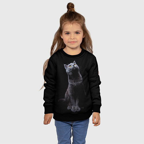 Детский свитшот Кот Британец / 3D-Черный – фото 4