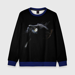 Свитшот детский Кот, цвет: 3D-синий