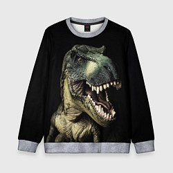Свитшот детский Динозавр T-Rex, цвет: 3D-меланж