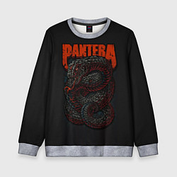 Детский свитшот PANTERA