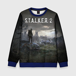 Свитшот детский STALKER 2, цвет: 3D-синий