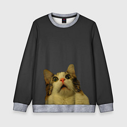 Свитшот детский Коте смотрит вверх, цвет: 3D-меланж