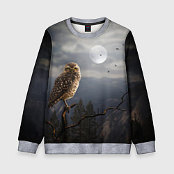 Свитшот детский Сова, цвет: 3D-меланж