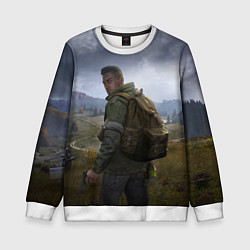 Детский свитшот DAYZ POSTER ДЕЙЗИ ПОСТЕР Z