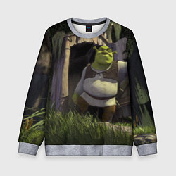 Детский свитшот Shrek: Somebody Once Told Me