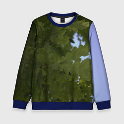 Свитшот детский Летние дубы, цвет: 3D-синий