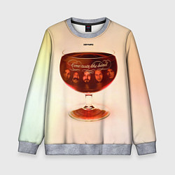 Свитшот детский Come Taste the Band - Deep Purple, цвет: 3D-меланж