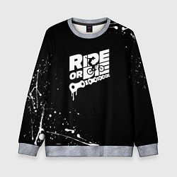 Свитшот детский RIDE OR DIE БРЫЗГИ КРАСОК И НИЧЕГО ЛИШНЕГО, цвет: 3D-меланж