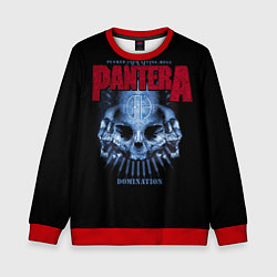 Детский свитшот Pantera Domination