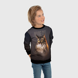 Свитшот детский Maine cat, цвет: 3D-черный — фото 2