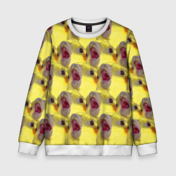 Свитшот детский Попугай Корелла Орёт Мем, цвет: 3D-белый