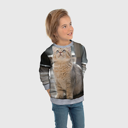 Детский свитшот Британская короткошёрстная кошка смотрит вверх / 3D-Меланж – фото 3