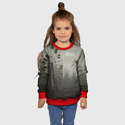 Свитшот детский STALKER Колесо Обозрения, цвет: 3D-красный — фото 2