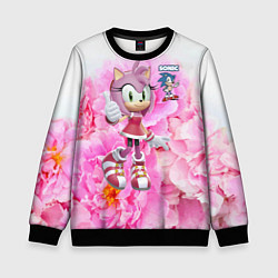 Свитшот детский Sonic - Amy Rose - Video game, цвет: 3D-черный