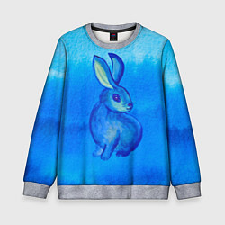 Свитшот детский Водяной кролик символ 2023, цвет: 3D-меланж