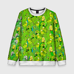 Свитшот детский Зеленые волнистые попугайчики, цвет: 3D-белый