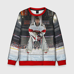 Свитшот детский Sergey Bobrovsky - Florida panthers - hockey, цвет: 3D-красный