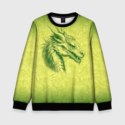 Свитшот детский Зеленый нарисованный дракон с открытой пастью, цвет: 3D-черный