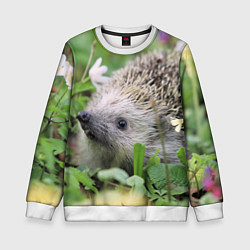 Детский свитшот Лесной ёжик в траве