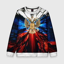 Детский свитшот Герб России триколор