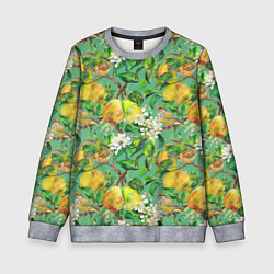 Свитшот детский Груши и птицы, цвет: 3D-меланж