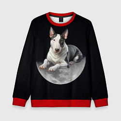 Свитшот детский Бультерьер и луна, цвет: 3D-красный