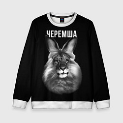 Детский свитшот Черемша мем