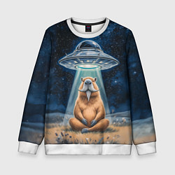 Свитшот детский Нло похищает капибару сидящую в позе лотоса, цвет: 3D-белый