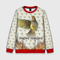 Свитшот детский Imagine Dragons: Fly, цвет: 3D-красный