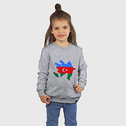 Свитшот хлопковый детский Azerbaijan map, цвет: меланж — фото 2