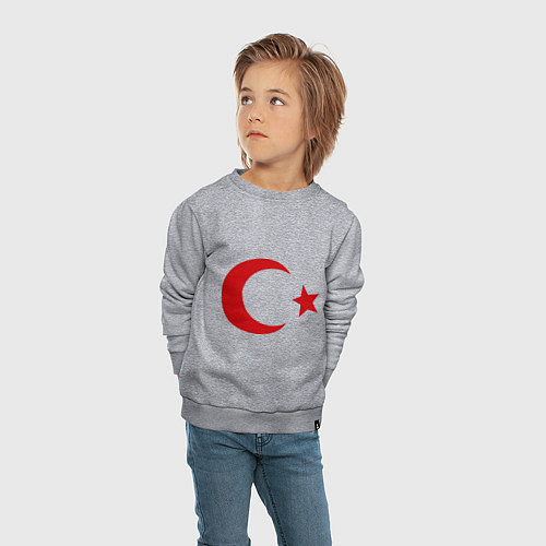 Детский свитшот Турция / Меланж – фото 4