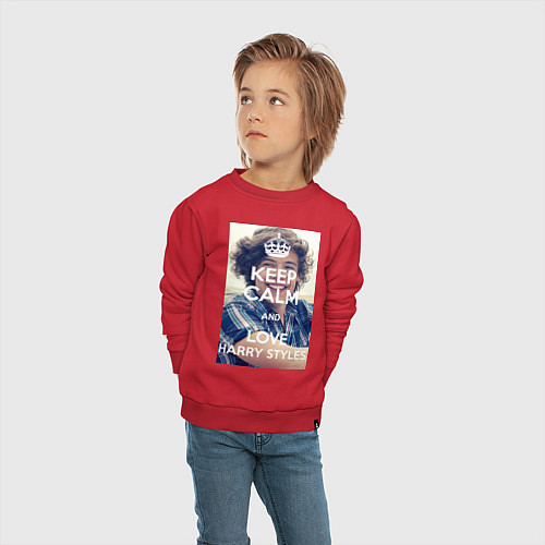 Детский свитшот Keep Calm & Love Harry Styles / Красный – фото 4