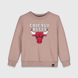 Детский свитшот CHICAGO BULLS